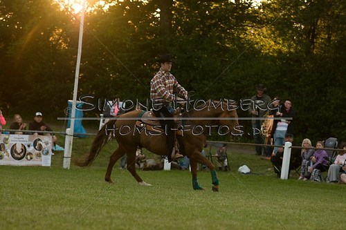 (c)SimoneHomberg_Ponyfest_Schauprogramm_20150606_0684
