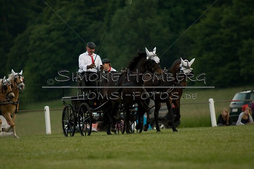 (c)SimoneHomberg_Ponyfest_Schauprogramm_20150606_0687
