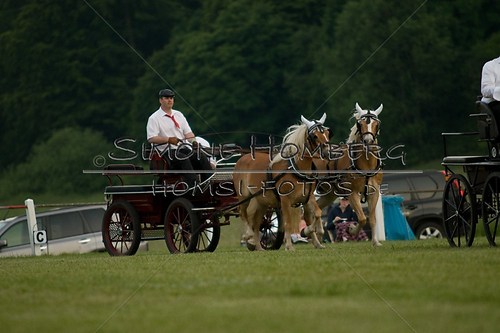 (c)SimoneHomberg_Ponyfest_Schauprogramm_20150606_0688