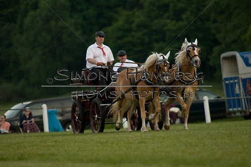 (c)SimoneHomberg_Ponyfest_Schauprogramm_20150606_0689