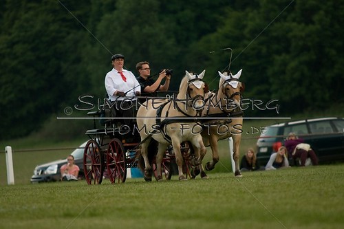 (c)SimoneHomberg_Ponyfest_Schauprogramm_20150606_0692