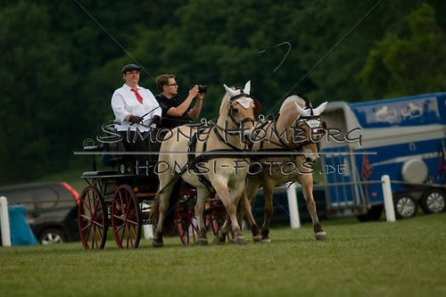 (c)SimoneHomberg_Ponyfest_Schauprogramm_20150606_0693