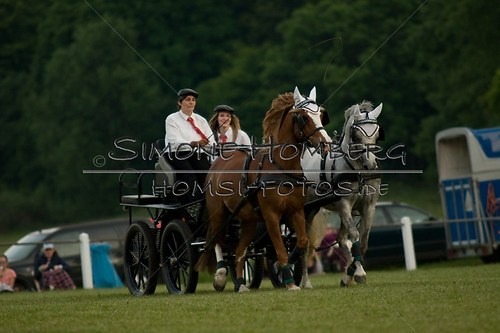 (c)SimoneHomberg_Ponyfest_Schauprogramm_20150606_0694