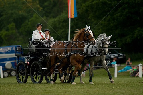 (c)SimoneHomberg_Ponyfest_Schauprogramm_20150606_0695