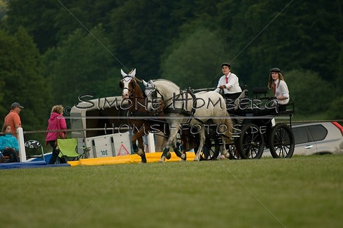 (c)SimoneHomberg_Ponyfest_Schauprogramm_20150606_0697