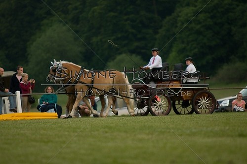 (c)SimoneHomberg_Ponyfest_Schauprogramm_20150606_0699