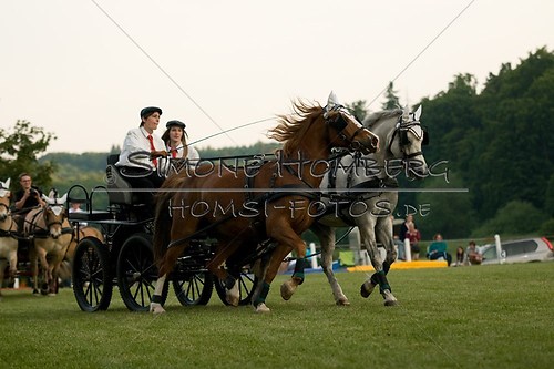(c)SimoneHomberg_Ponyfest_Schauprogramm_20150606_0701