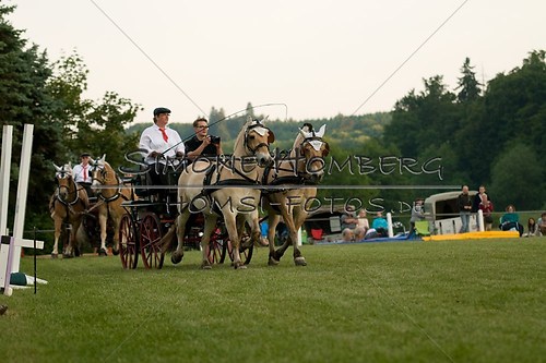(c)SimoneHomberg_Ponyfest_Schauprogramm_20150606_0702