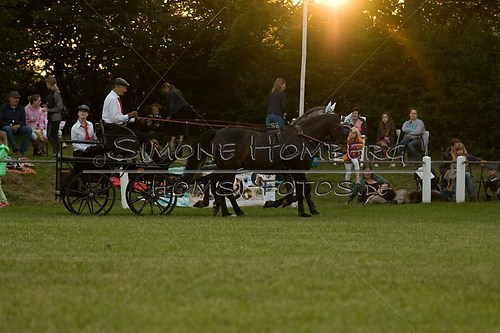 (c)SimoneHomberg_Ponyfest_Schauprogramm_20150606_0704
