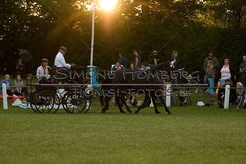 (c)SimoneHomberg_Ponyfest_Schauprogramm_20150606_0705