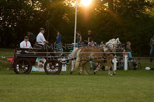 (c)SimoneHomberg_Ponyfest_Schauprogramm_20150606_0706