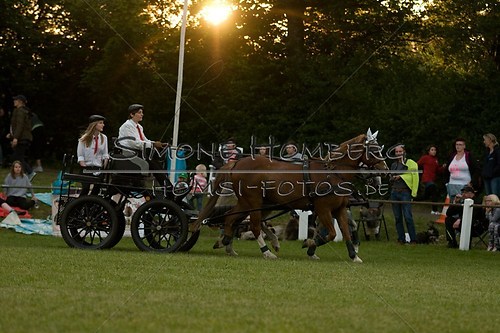 (c)SimoneHomberg_Ponyfest_Schauprogramm_20150606_0707
