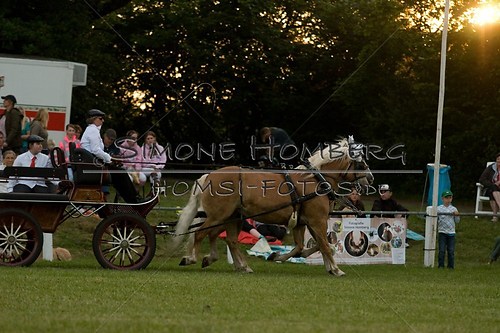 (c)SimoneHomberg_Ponyfest_Schauprogramm_20150606_0709