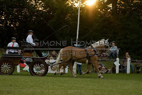 (c)SimoneHomberg_Ponyfest_Schauprogramm_20150606_0710