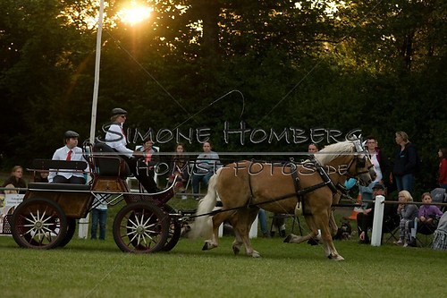 (c)SimoneHomberg_Ponyfest_Schauprogramm_20150606_0711