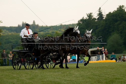 (c)SimoneHomberg_Ponyfest_Schauprogramm_20150606_0713