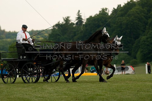 (c)SimoneHomberg_Ponyfest_Schauprogramm_20150606_0714
