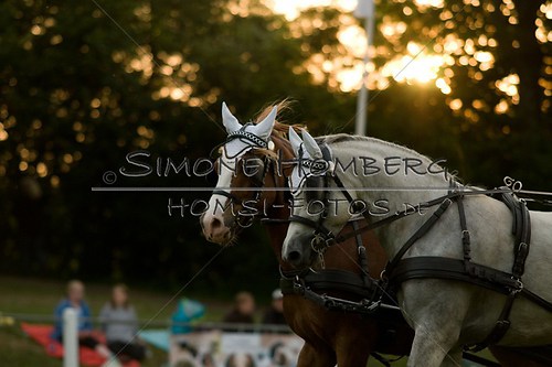(c)SimoneHomberg_Ponyfest_Schauprogramm_20150606_0716