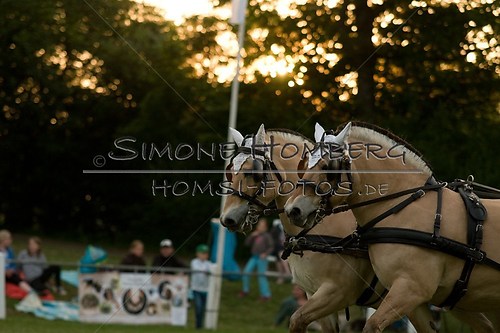 (c)SimoneHomberg_Ponyfest_Schauprogramm_20150606_0717