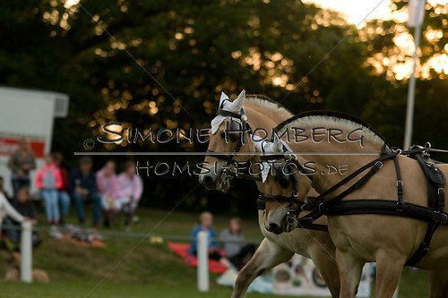 (c)SimoneHomberg_Ponyfest_Schauprogramm_20150606_0718