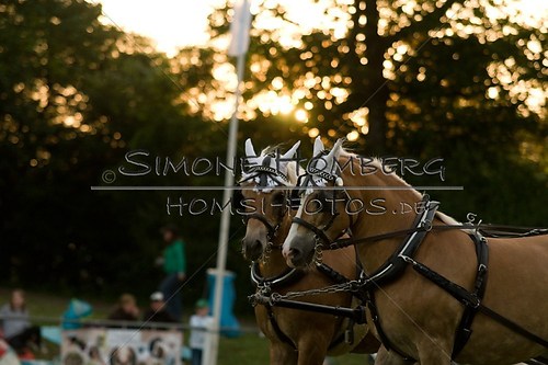 (c)SimoneHomberg_Ponyfest_Schauprogramm_20150606_0720