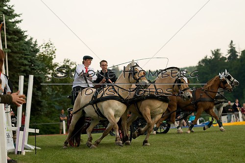 (c)SimoneHomberg_Ponyfest_Schauprogramm_20150606_0723