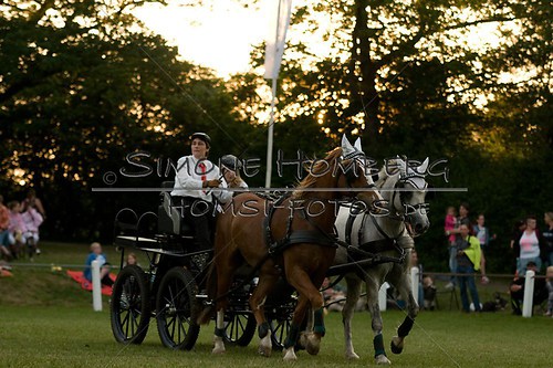 (c)SimoneHomberg_Ponyfest_Schauprogramm_20150606_0724