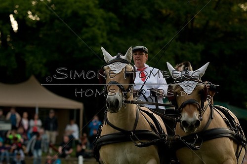 (c)SimoneHomberg_Ponyfest_Schauprogramm_20150606_0725