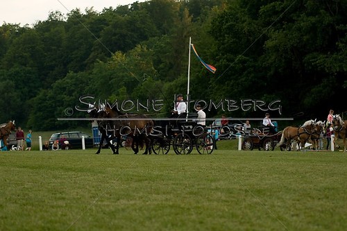 (c)SimoneHomberg_Ponyfest_Schauprogramm_20150606_0726
