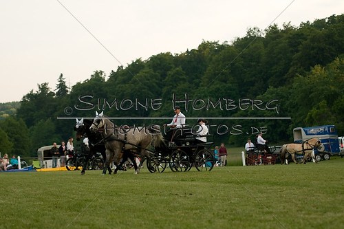 (c)SimoneHomberg_Ponyfest_Schauprogramm_20150606_0727