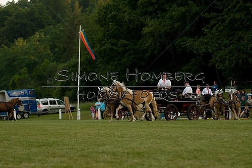 (c)SimoneHomberg_Ponyfest_Schauprogramm_20150606_0728