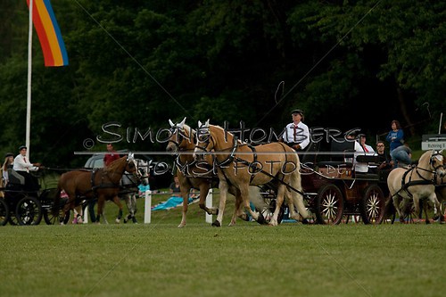 (c)SimoneHomberg_Ponyfest_Schauprogramm_20150606_0729