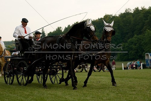 (c)SimoneHomberg_Ponyfest_Schauprogramm_20150606_0731