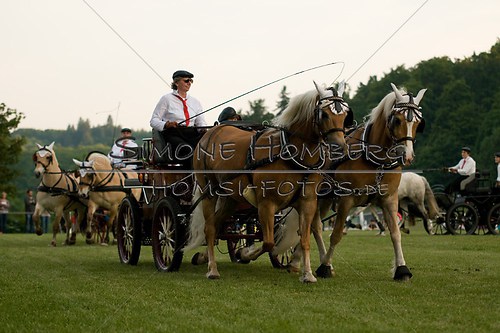 (c)SimoneHomberg_Ponyfest_Schauprogramm_20150606_0733