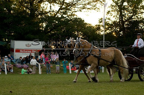 (c)SimoneHomberg_Ponyfest_Schauprogramm_20150606_0734