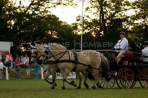 (c)SimoneHomberg_Ponyfest_Schauprogramm_20150606_0735
