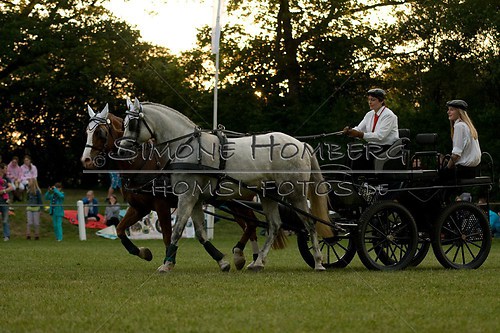 (c)SimoneHomberg_Ponyfest_Schauprogramm_20150606_0736