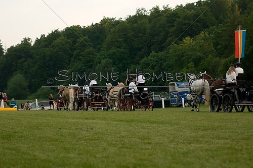 (c)SimoneHomberg_Ponyfest_Schauprogramm_20150606_0737