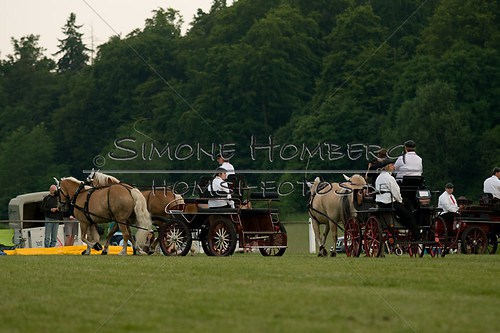 (c)SimoneHomberg_Ponyfest_Schauprogramm_20150606_0738