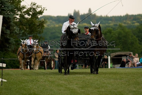(c)SimoneHomberg_Ponyfest_Schauprogramm_20150606_0739