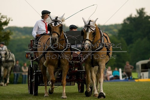 (c)SimoneHomberg_Ponyfest_Schauprogramm_20150606_0742