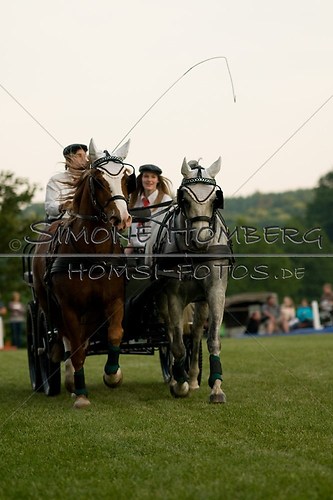 (c)SimoneHomberg_Ponyfest_Schauprogramm_20150606_0743