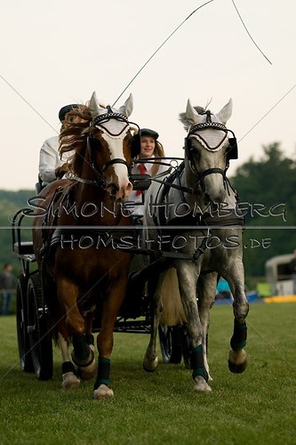(c)SimoneHomberg_Ponyfest_Schauprogramm_20150606_0744