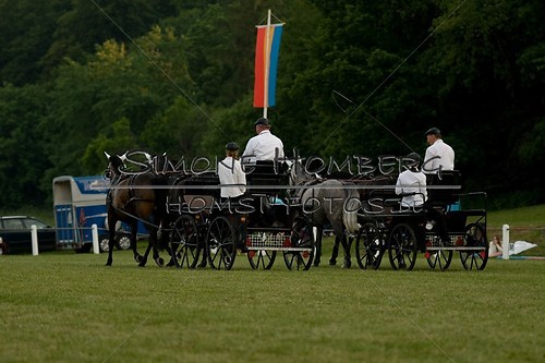 (c)SimoneHomberg_Ponyfest_Schauprogramm_20150606_0745