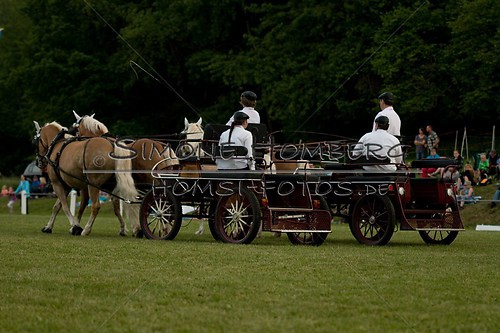 (c)SimoneHomberg_Ponyfest_Schauprogramm_20150606_0746