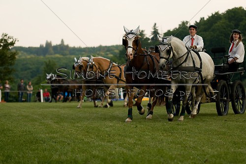 (c)SimoneHomberg_Ponyfest_Schauprogramm_20150606_0748