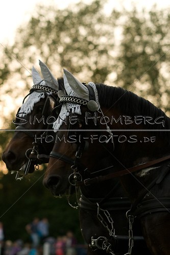 (c)SimoneHomberg_Ponyfest_Schauprogramm_20150606_0751