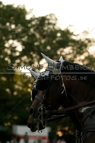 (c)SimoneHomberg_Ponyfest_Schauprogramm_20150606_0752