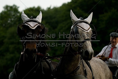 (c)SimoneHomberg_Ponyfest_Schauprogramm_20150606_0753