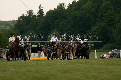 (c)SimoneHomberg_Ponyfest_Schauprogramm_20150606_0754